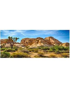 Leyiyi 72x16 inches Joshua Tree National Park Polyester Photography Backdrop Western Sky Desert Cowboy Weathering Rock Drought-Tolerant Plant Cactus Terrarium Background Aquarium Wallpaper