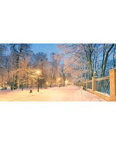 Leyiyi 10x8ft Merry Christmas Backdrop Street Light Night View Enchanted Forest White World Snow Covered Nature Park Photography Background Happy New Year Xmas Photo Studio Prop Vinyl Wallpaper