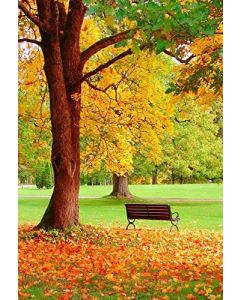 Leyiyi 3x5ft Photography Background Autumn Helsinki Public Garden Happy Thanksgiving Backdrop Birthday Party School Season Baby Shower Maple Trees Hiking Bench Photo Portrait Vinyl Studio Video Prop