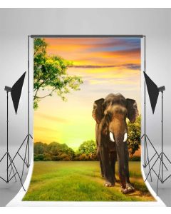 Leyiyi 3x5ft Photography Background Safari Elephant Backdrop Hunting Sunset Grassland Bangkok Thailand Travelling Rainforest Nature Wild Animals Reserve Photo Portrait Vinyl Video Studio Props