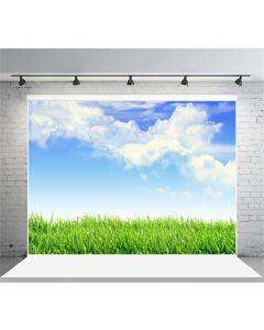 Leyiyi 8x6ft Spring Grassland Photography Background Gardening Plant Meadow Sky Cloud Light Spot North Prairie Backdrop Nature View Outdoor Activity Kids Birthday Photo Portrait Vinyl Studio Prop