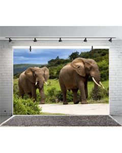 Leyiyi 5x3ft Photography Background Thailand Elephant Backdrop Safari Hunting Happy Birthday Party Countryside Mountain Road African Tourism Destination Spring Photo Portrait Vinyl Studio Video Prop